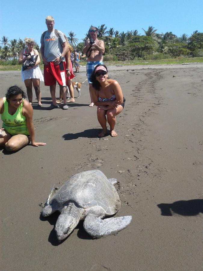 Plumita Pacifica Apartman Playa Junquillal Kültér fotó