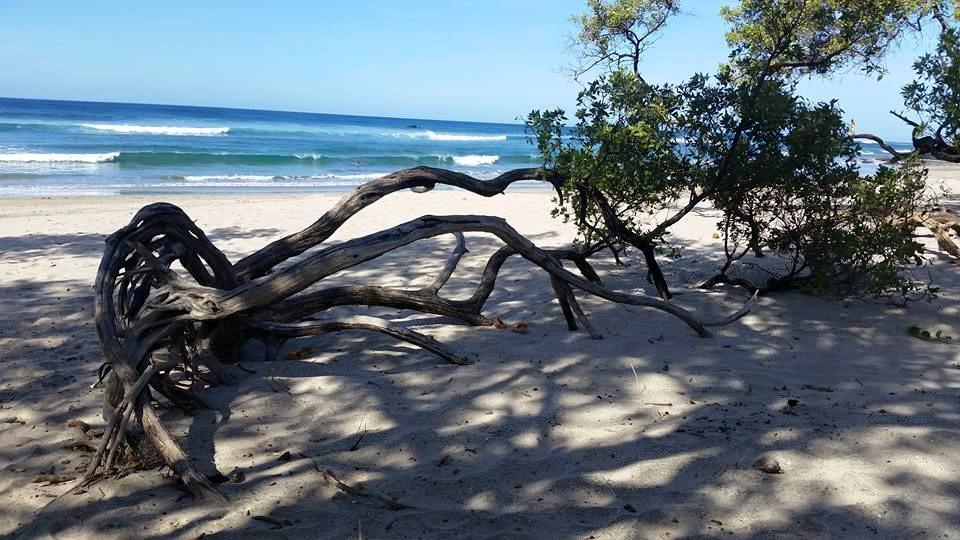 Plumita Pacifica Apartman Playa Junquillal Kültér fotó